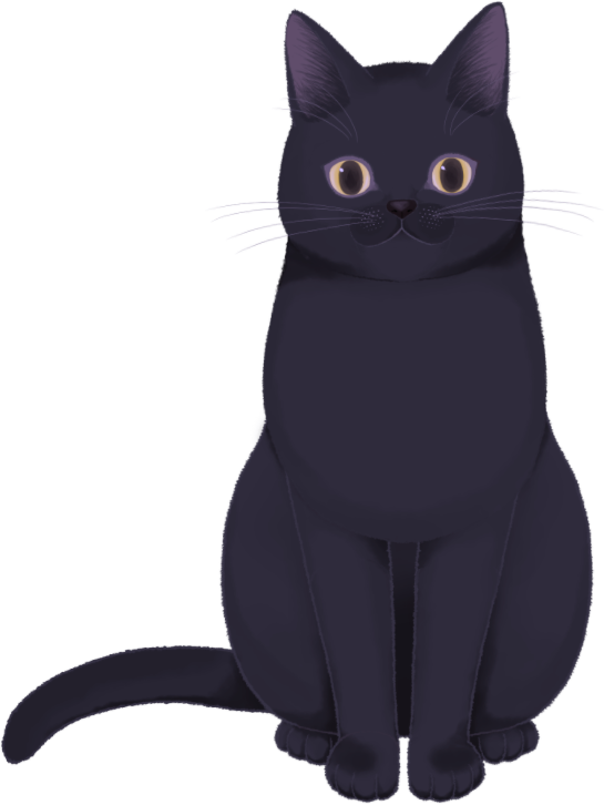 The cat, a black cat sitting very still and watching you